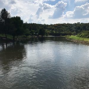 Meet your Posher, Avery